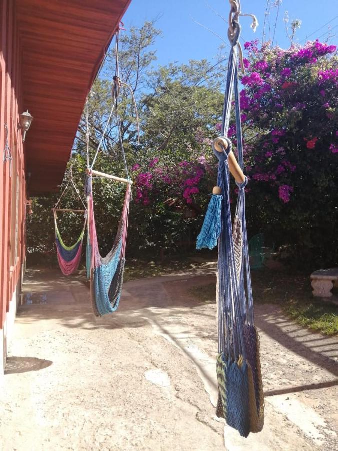 Pension Y Cabinas Colibri B&B Costa Rica Монте-Верде Экстерьер фото
