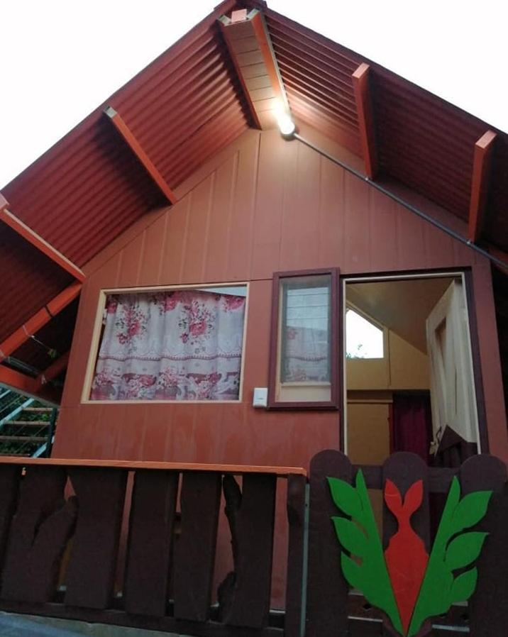 Pension Y Cabinas Colibri B&B Costa Rica Монте-Верде Экстерьер фото