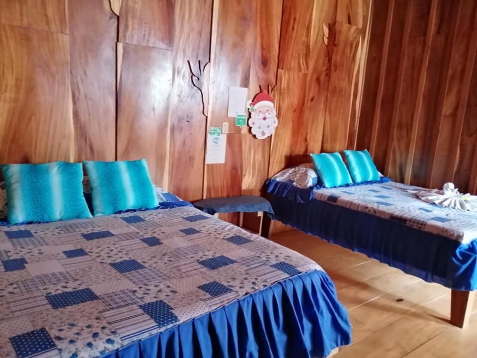 Pension Y Cabinas Colibri B&B Costa Rica Монте-Верде Экстерьер фото
